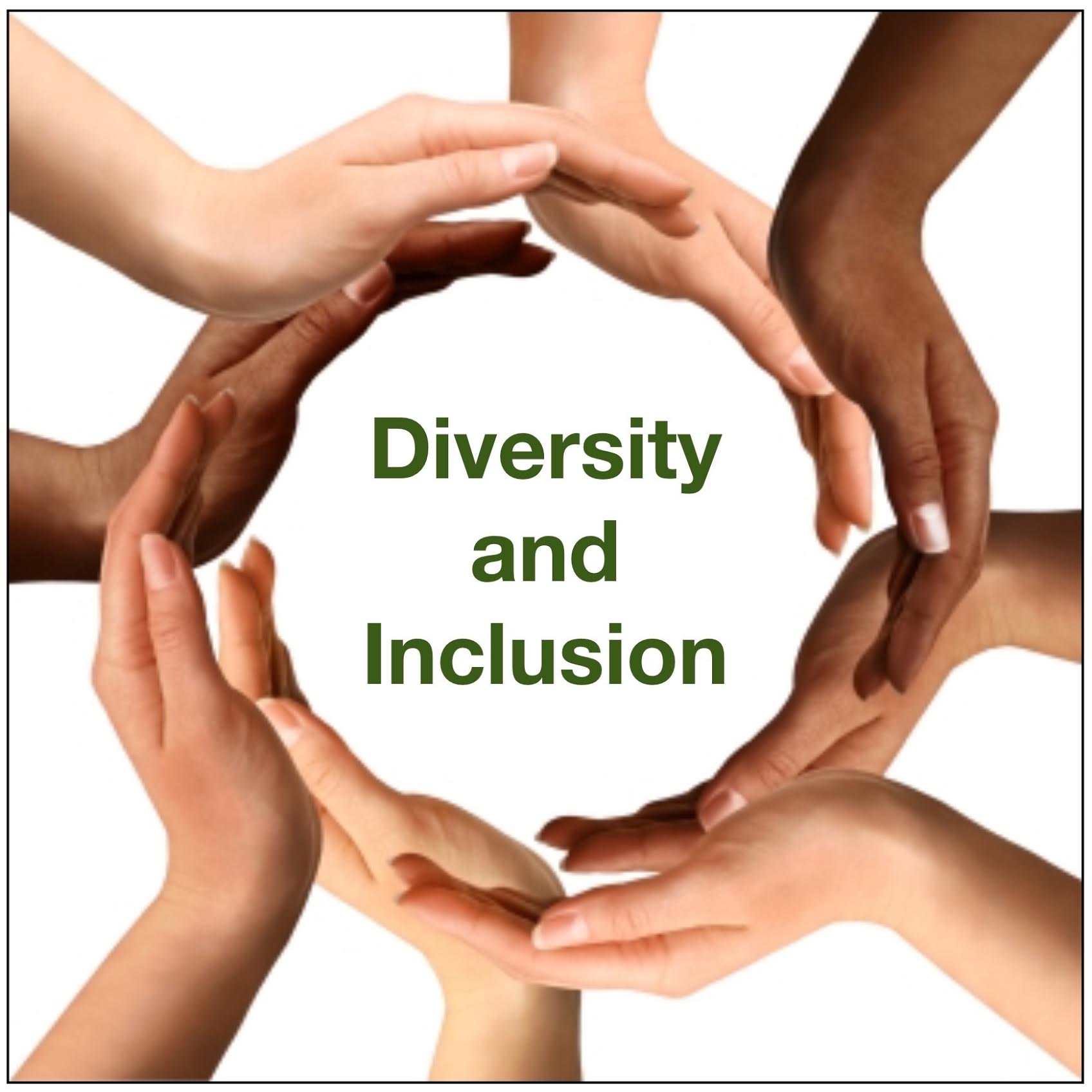 Statement on Diversity - My Blog